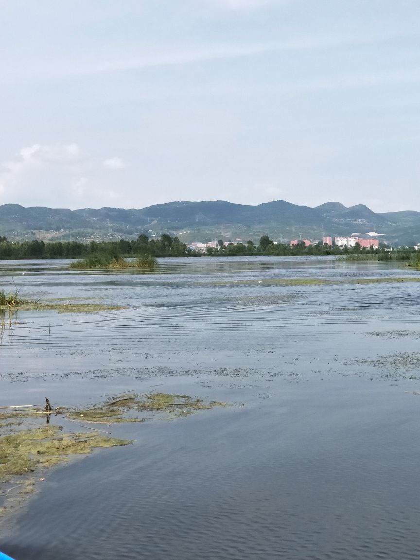 草海