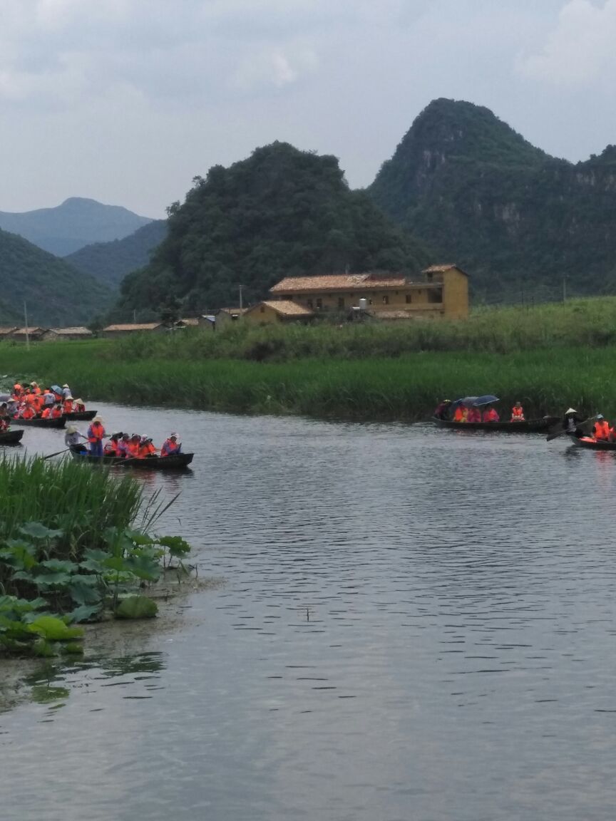 2019普者黑_旅游攻略_门票_地址_游记点评,文山旅游景点推荐 - 去哪儿