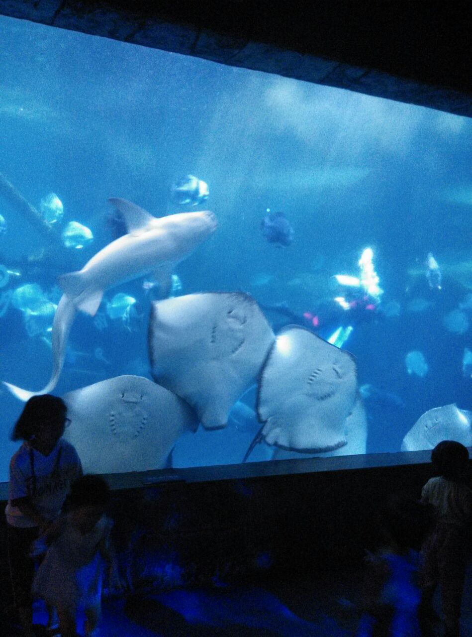 合肥海洋世界