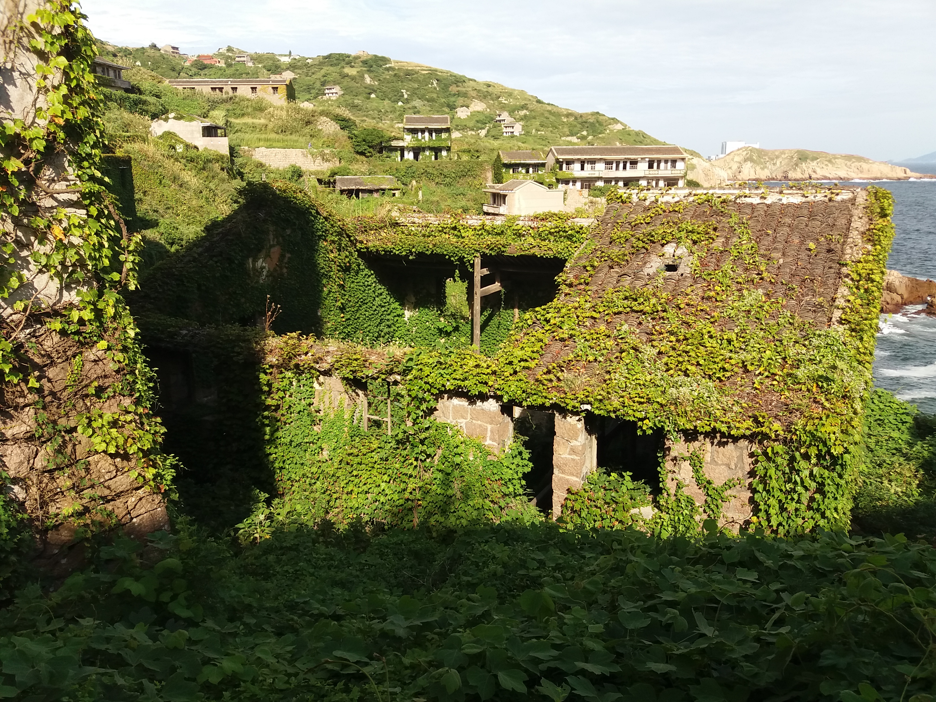 后头湾村