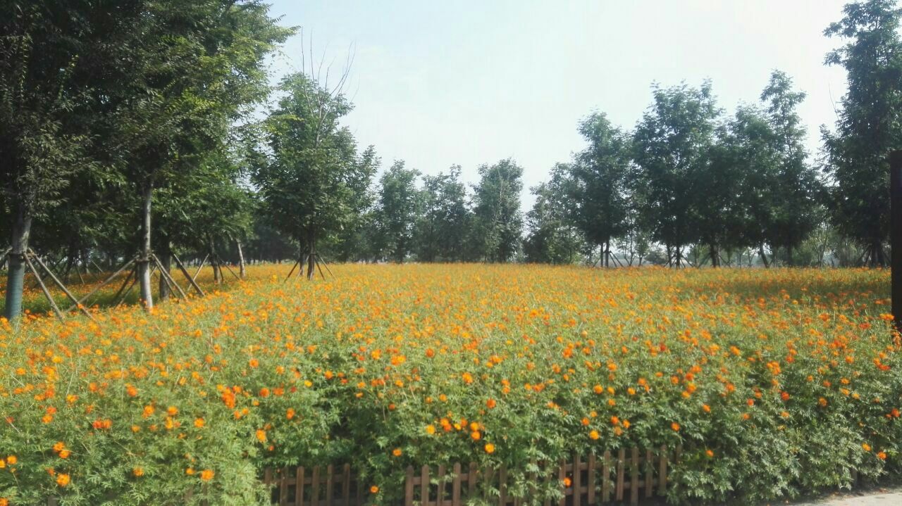 三台山国家森林公园
