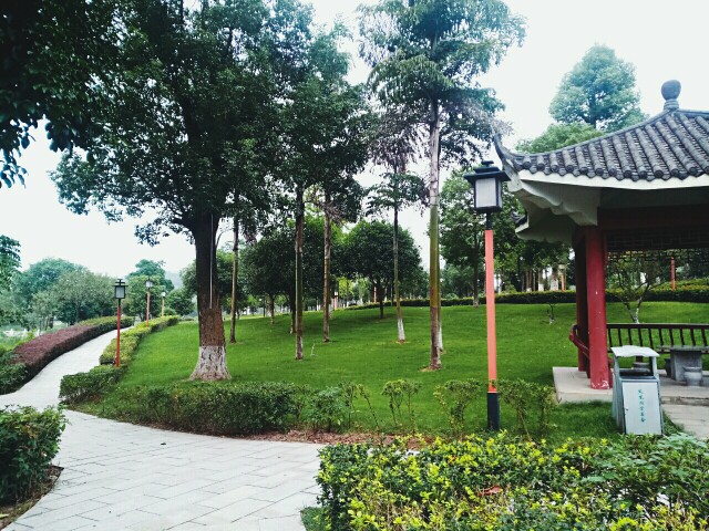 宾阳凤凰湖公园