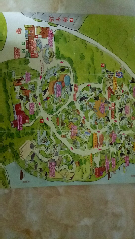 龙沙动植物园