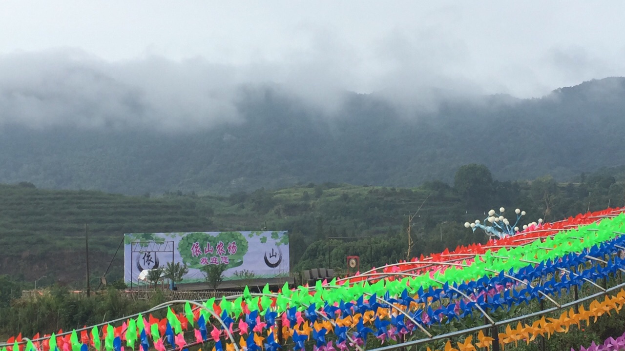 2019依山农场游玩攻略,小朋友玩得都不想走了,开心.