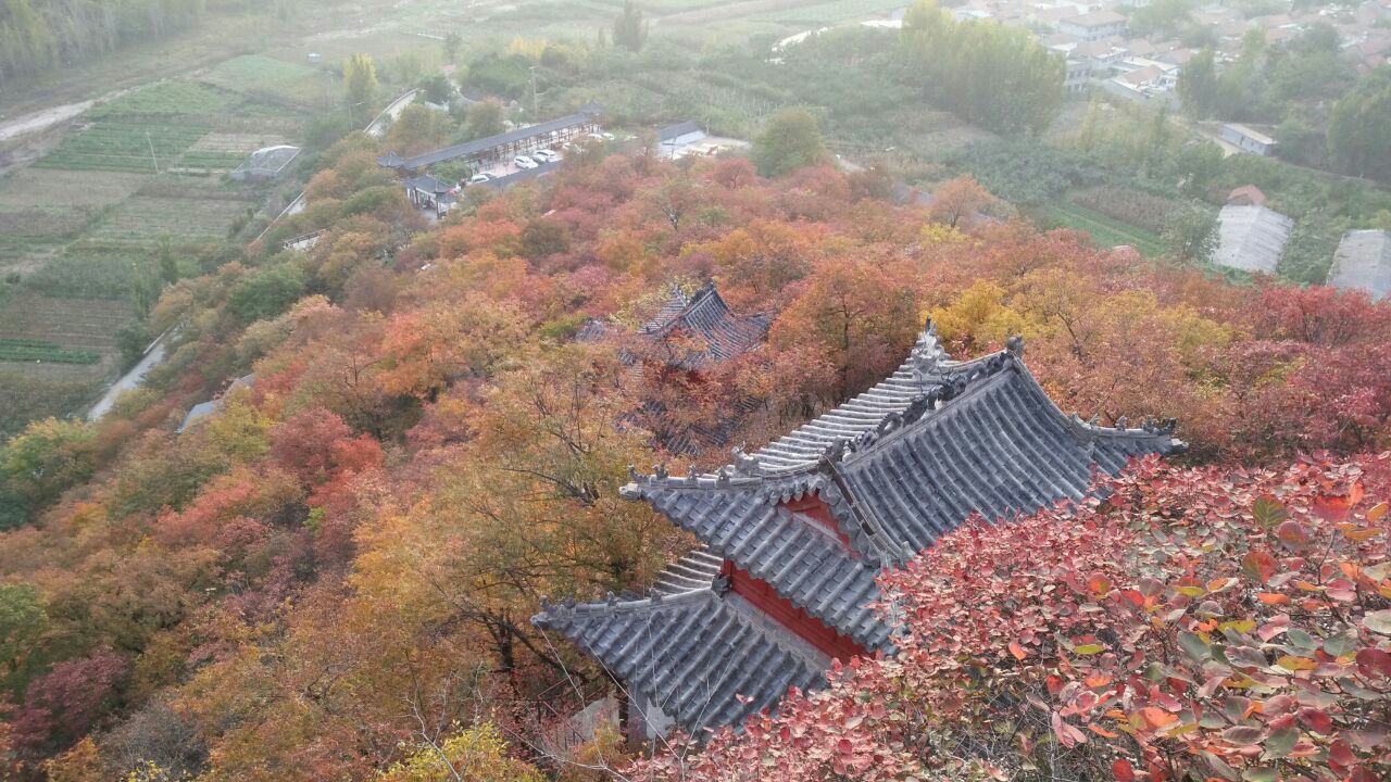 2019凤凰山风景区_旅游攻略_门票_地址_游记点评,沂源旅游景点推荐