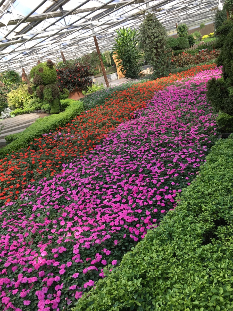 【携程攻略】北京世界花卉大观园好玩吗,北京世界花卉