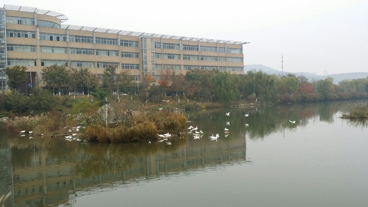 大连外国语学院