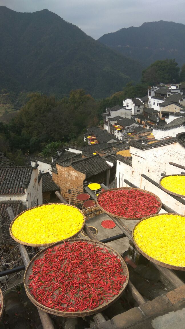 婺源篁岭