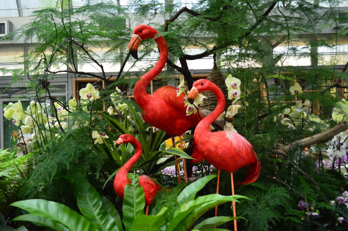 香港动植物公园