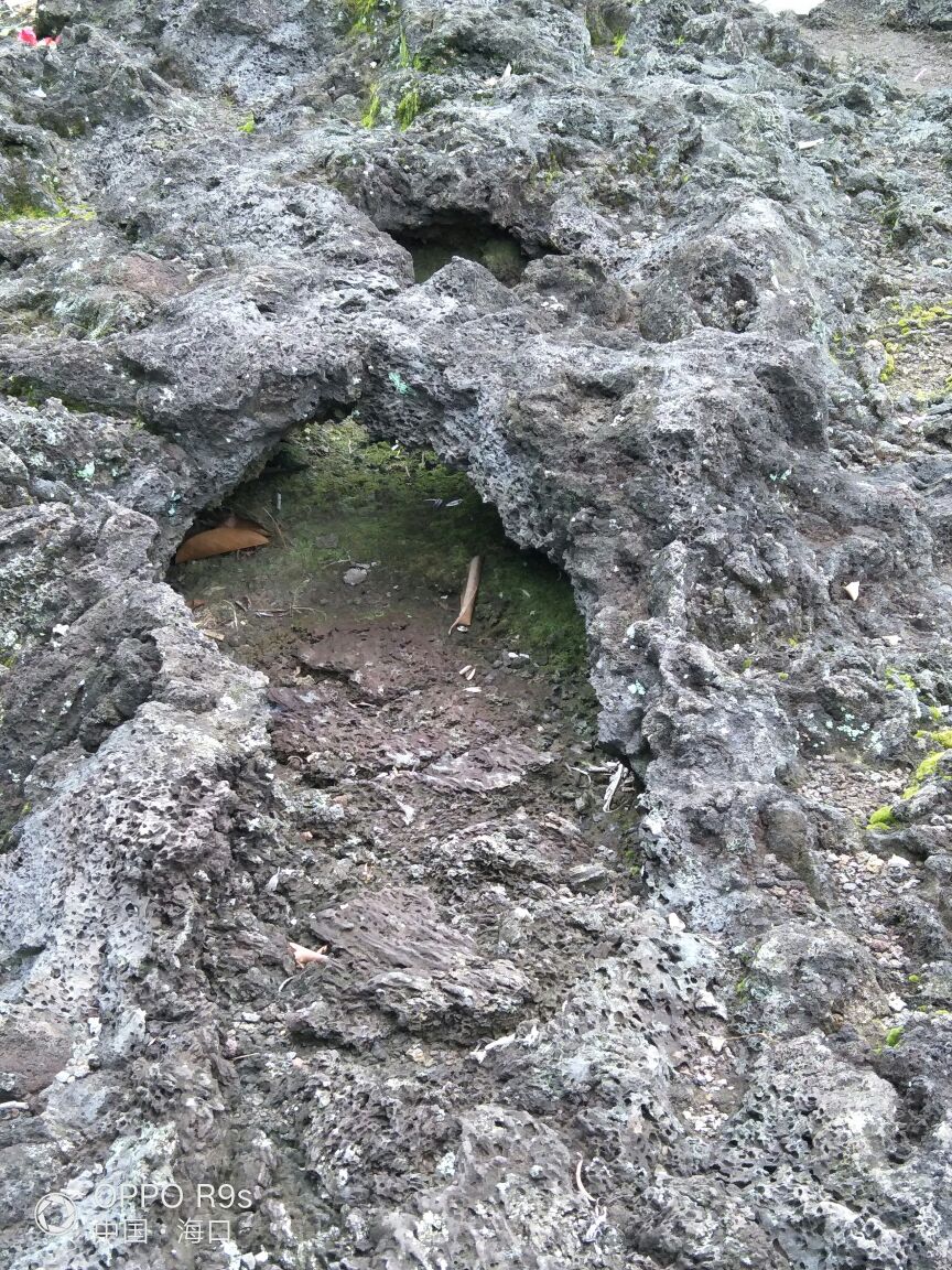 公园不大,整体就是一座火山,加上两个寄生的小火山,不过小火山没看
