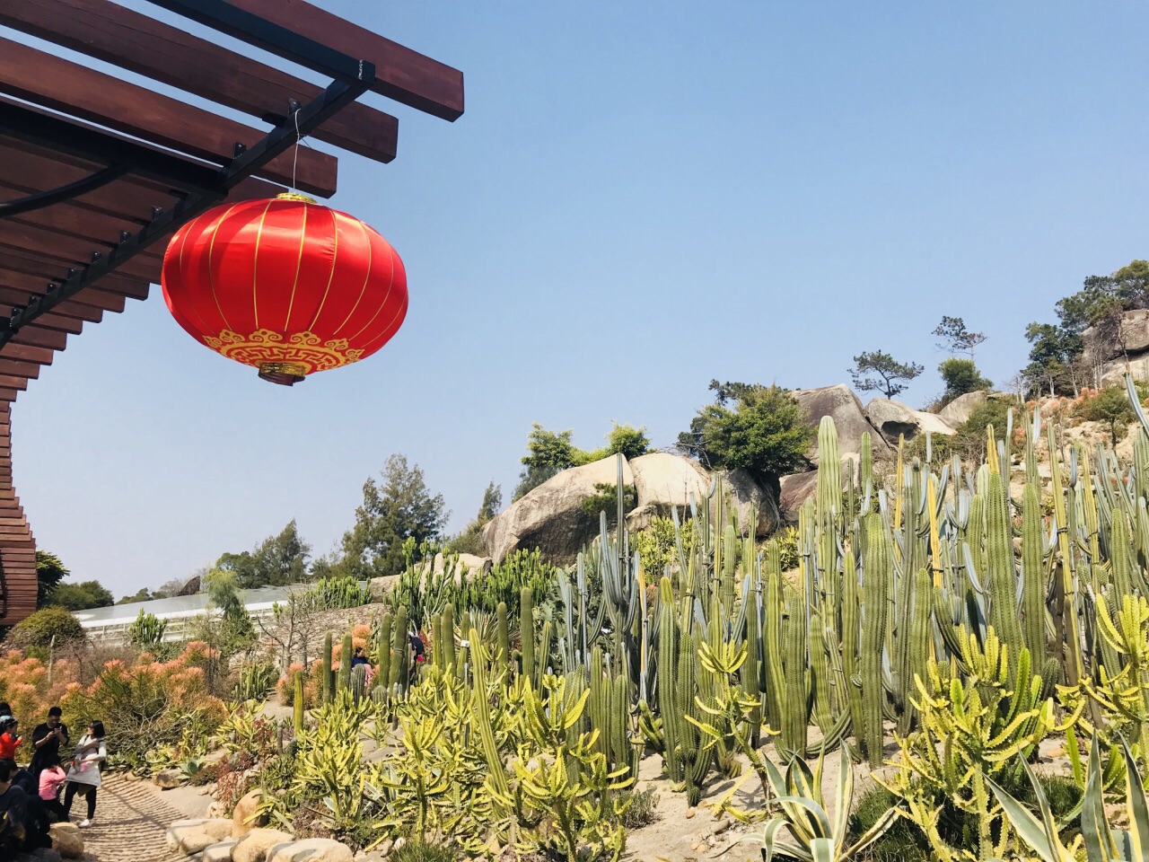 【携程攻略】厦门厦门园林植物园好玩吗,厦门厦门园林