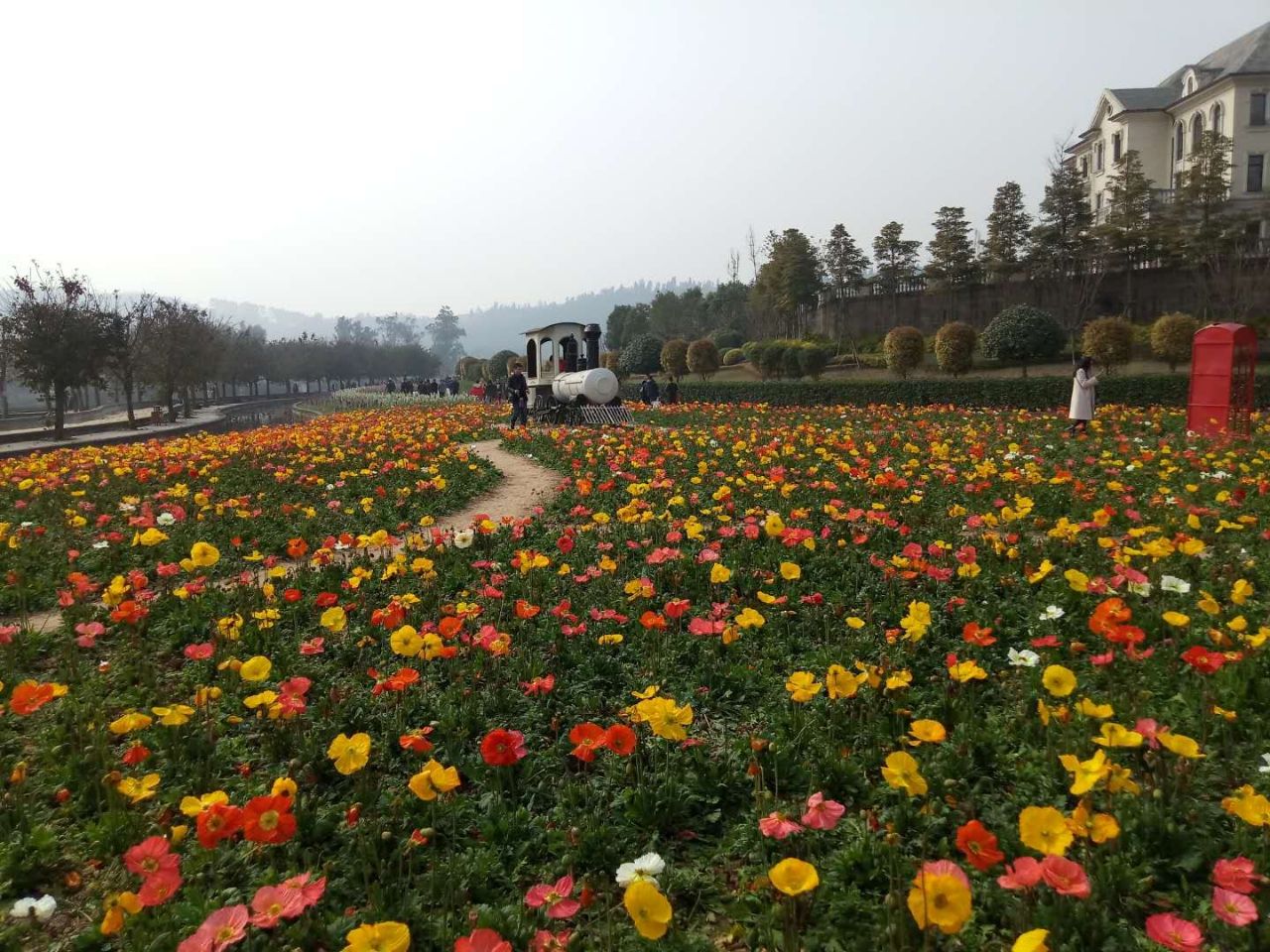 花舞人间