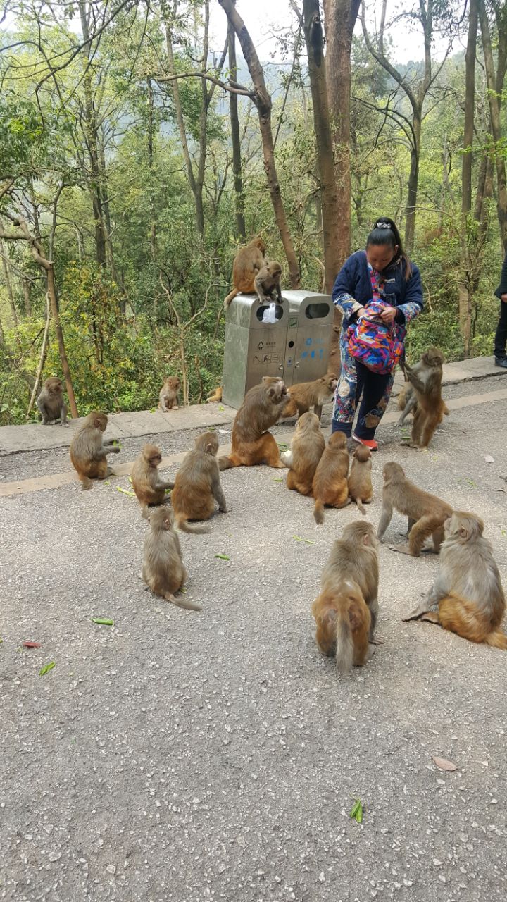 黔灵山公园