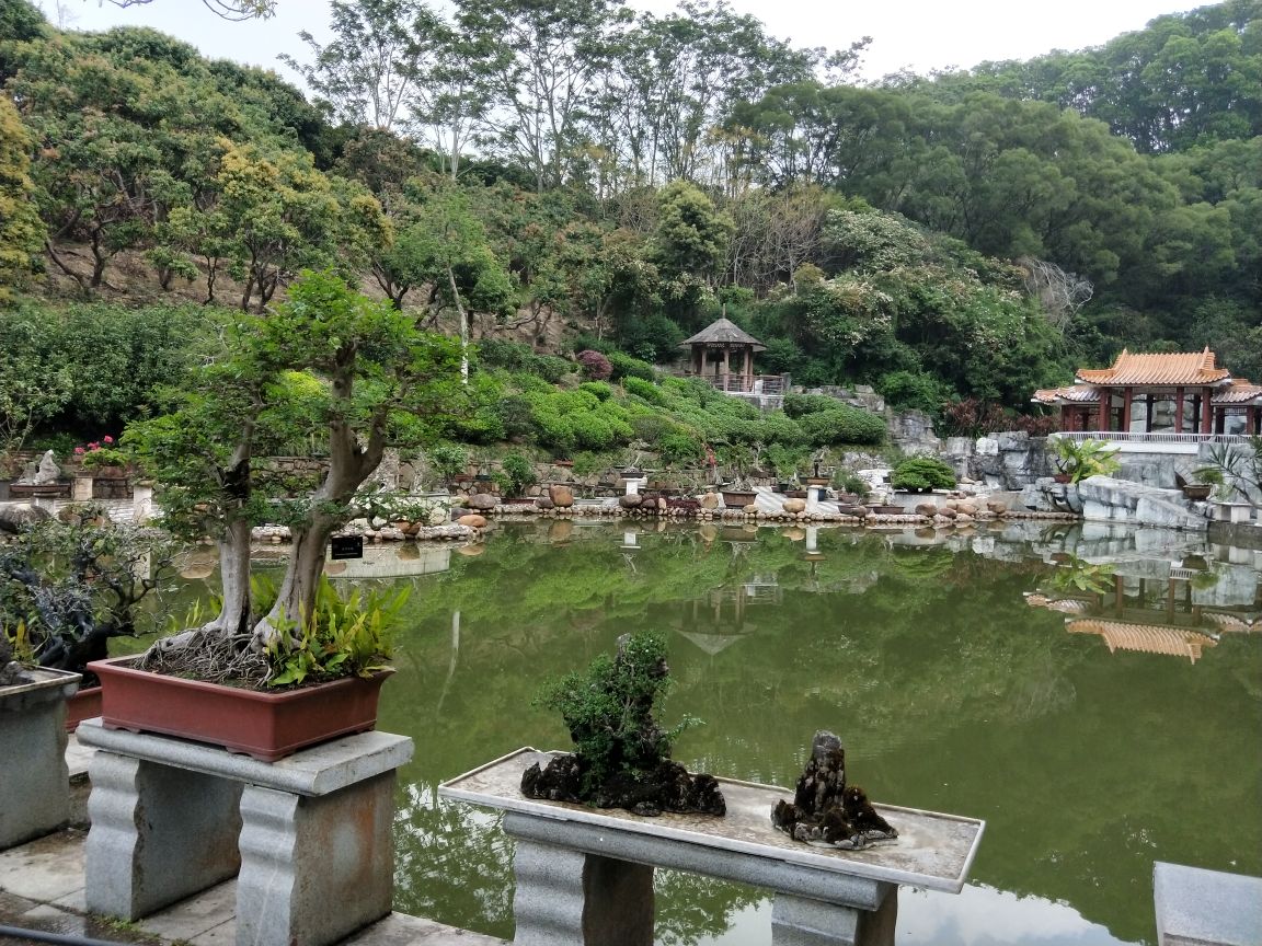 【携程攻略】广东深圳仙湖植物园好玩吗,广东仙湖植物