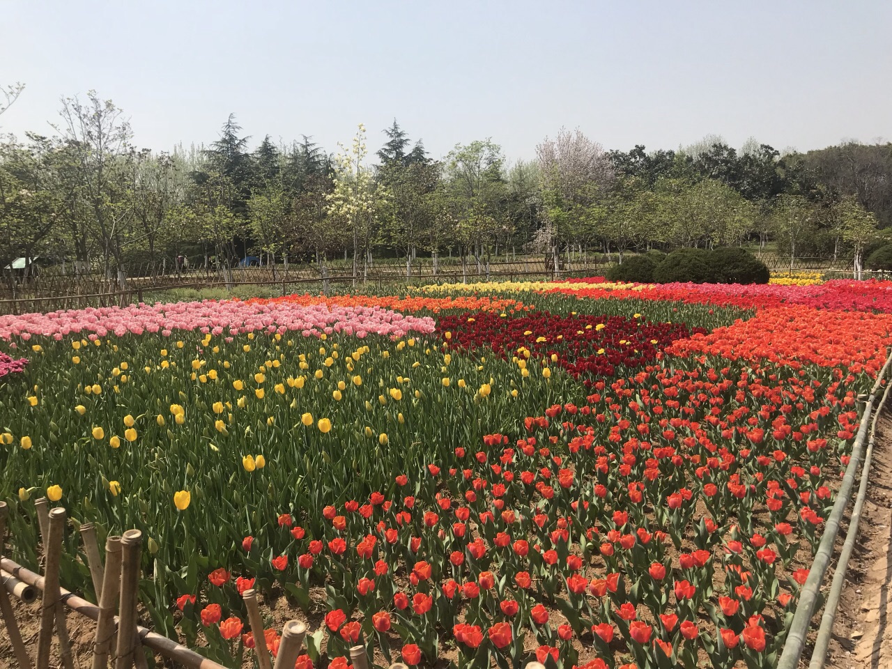 合肥植物园