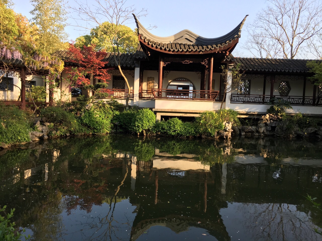 古藤园