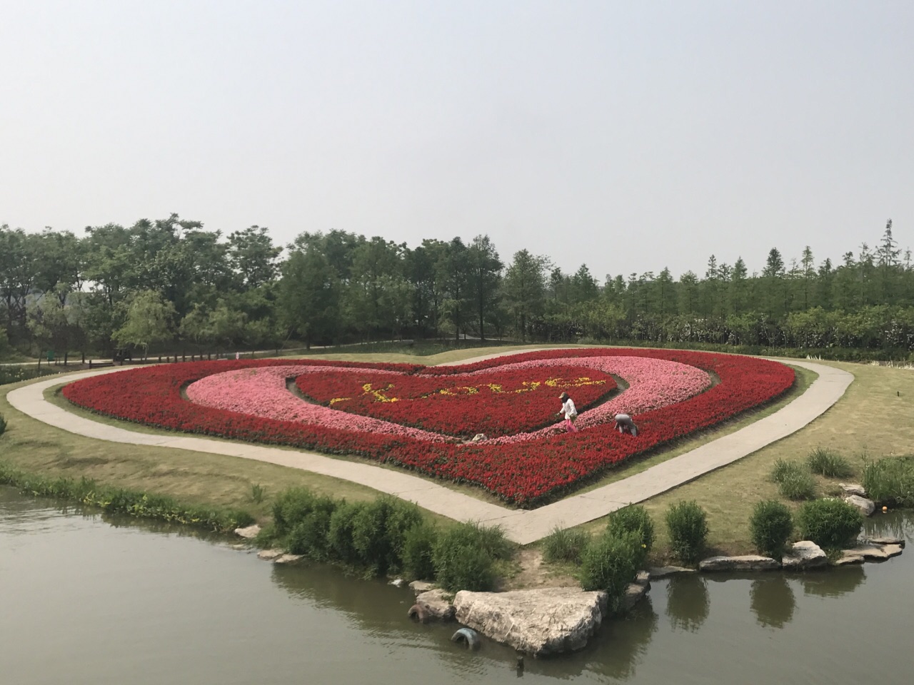 上海周浦花海好玩吗,上海周浦花海景点怎么样_点评