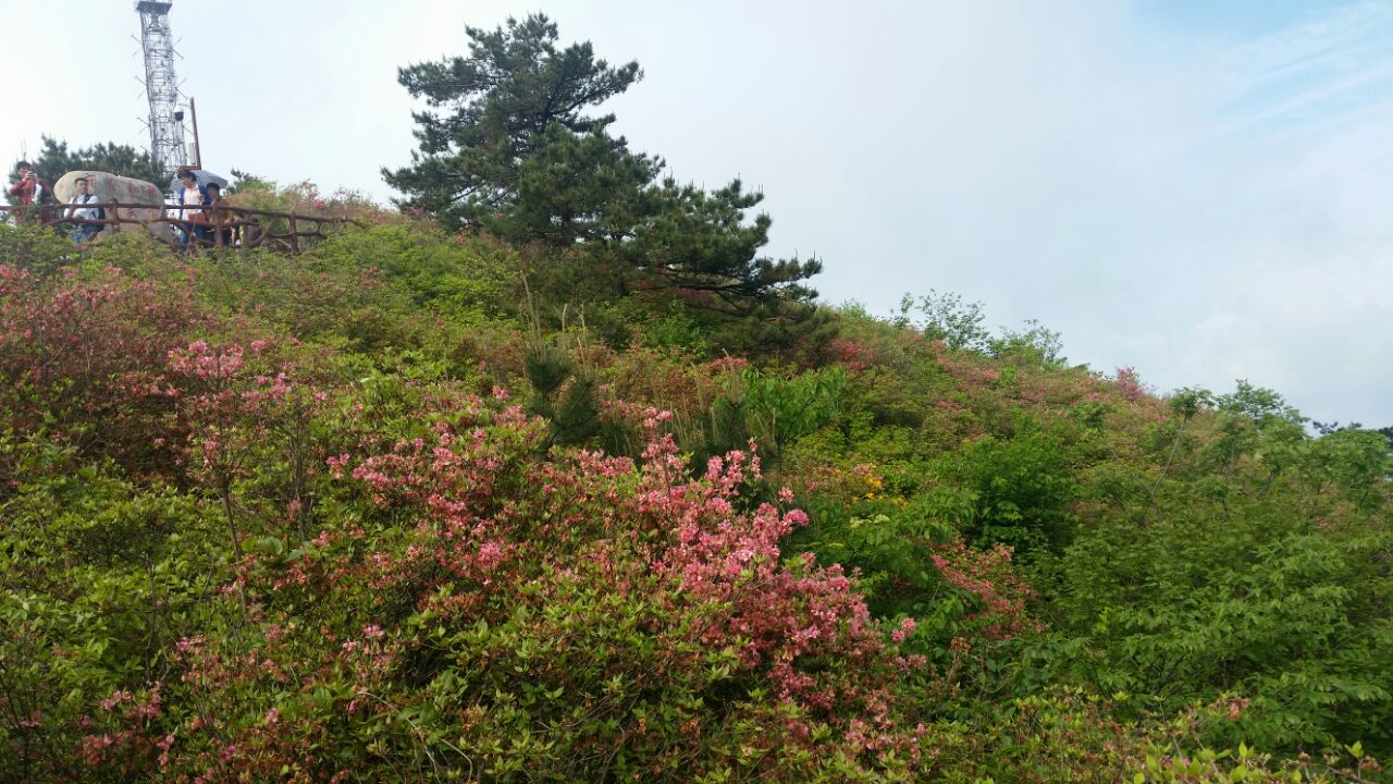 麻城龟峰山位于麻城市龟山镇,人间四月天,麻城看杜鹃,已经享誉中国