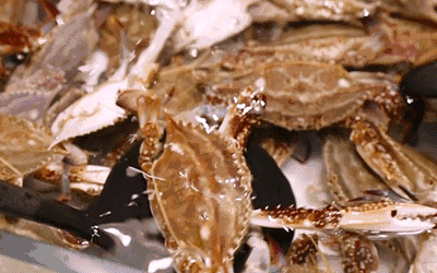 美食 400_250 gif 动态图 动图