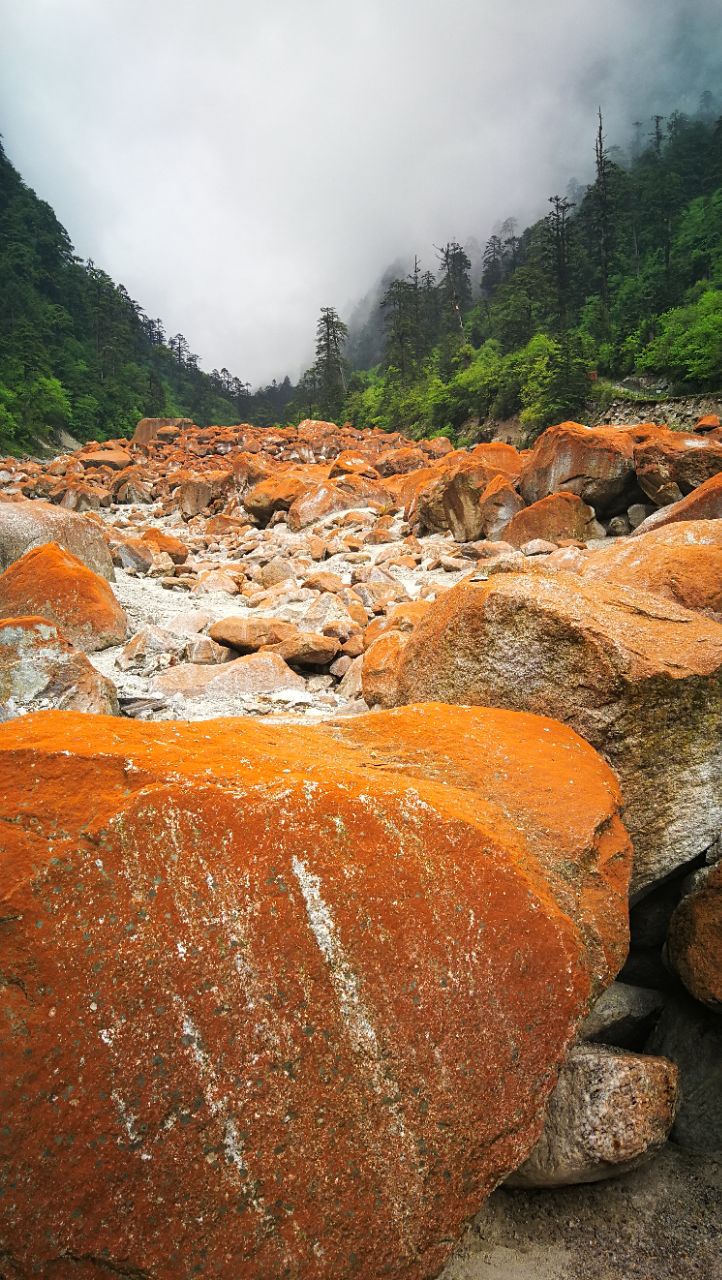 【携程攻略】甘孜燕子沟风景区景点,最美的红石滩,空气清新的原始森林
