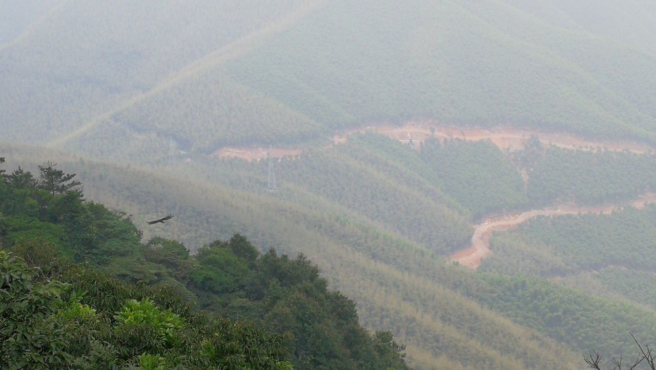 大坑景区