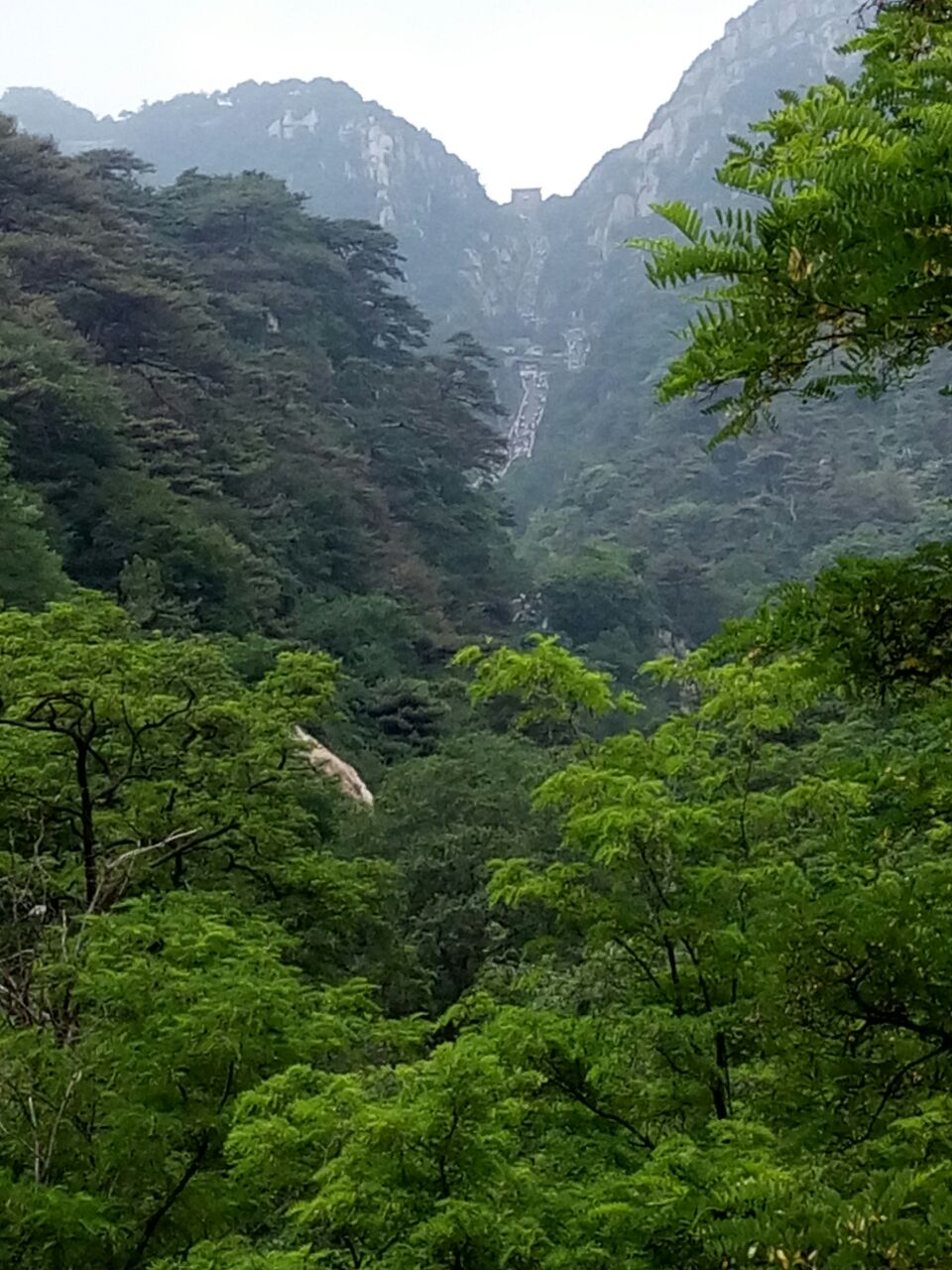 泰山风景区