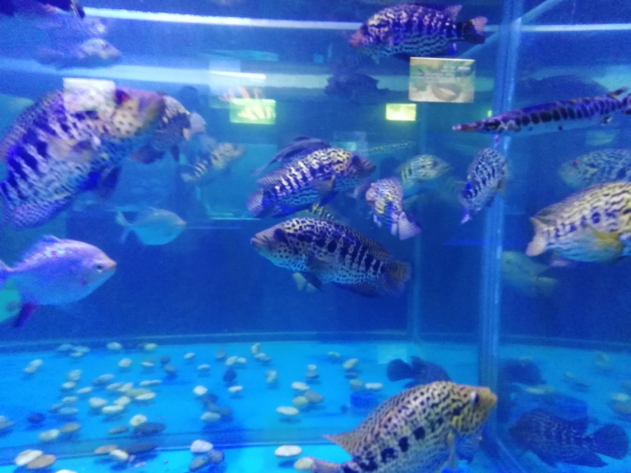 徐州水族展览馆
