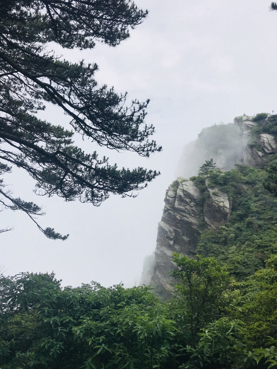 爬起来并不是很累,比三叠泉轻松多了,在含鄱口看五老峰,像是面朝上的