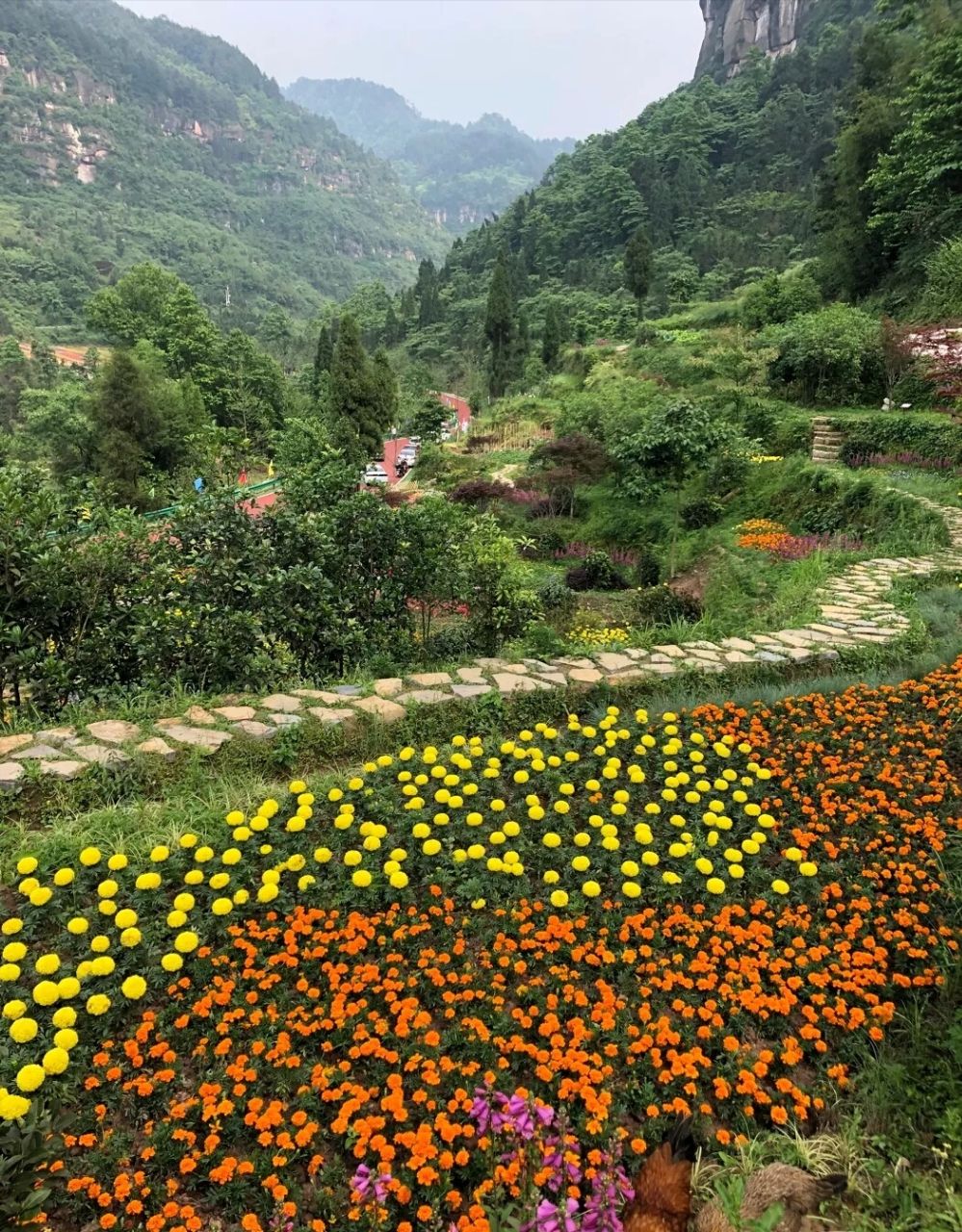 【携程攻略】重庆綦江国家地质公园老瀛山景区景点,带