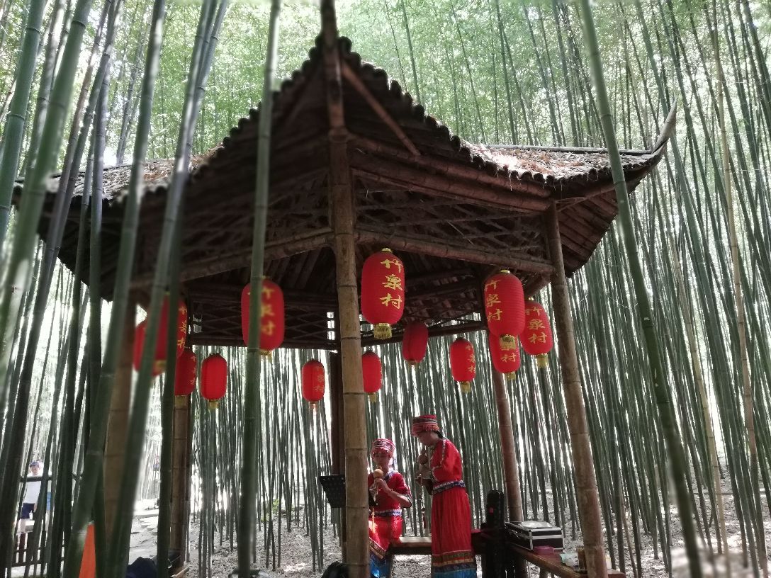 竹泉村
