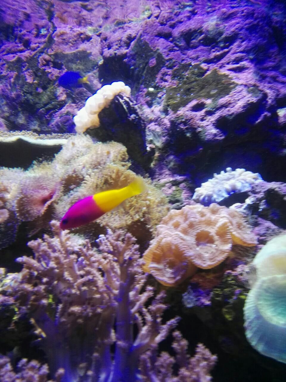 杭州海底世界