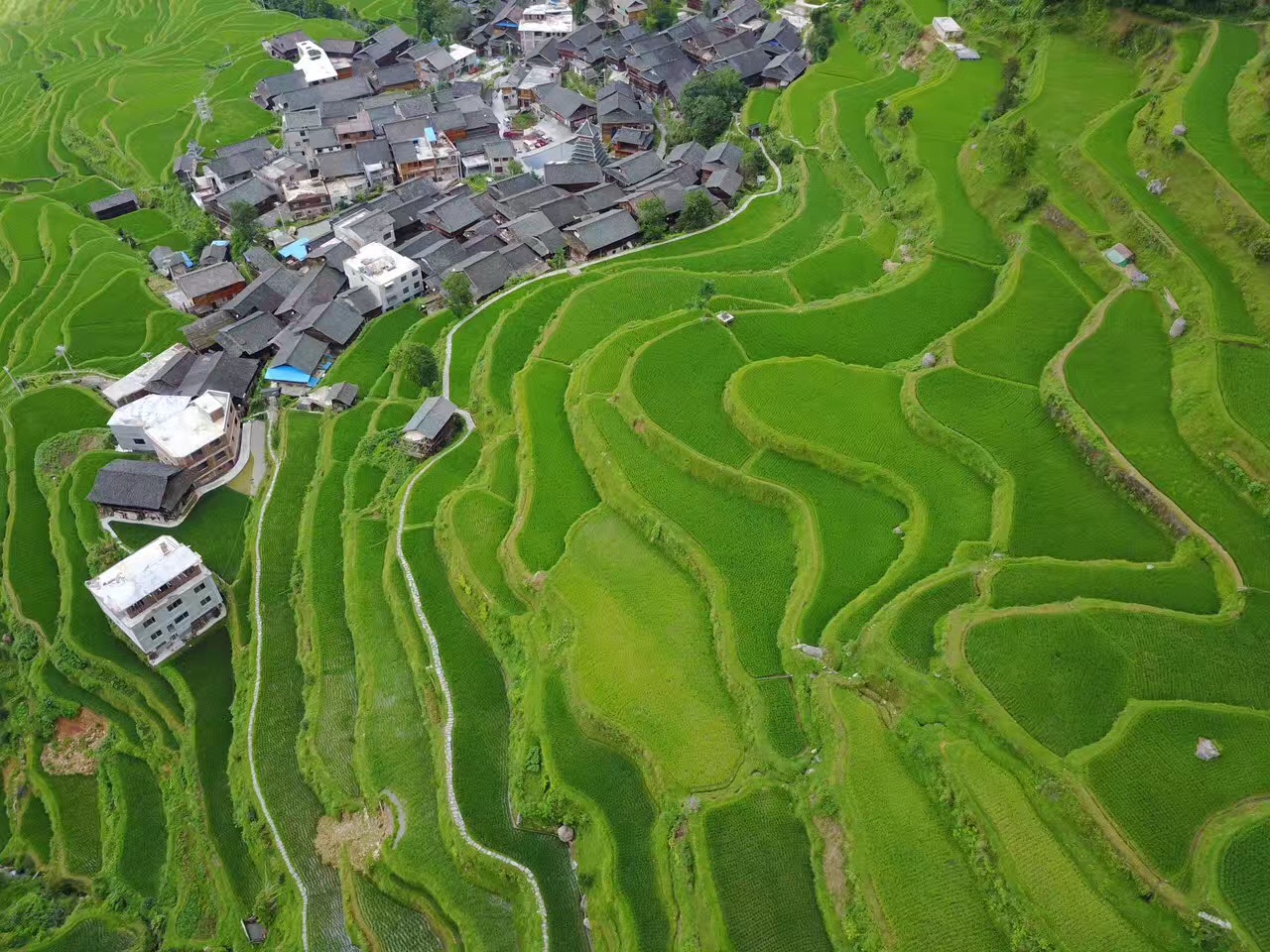 七月中旬的堂安梯田好看吗?