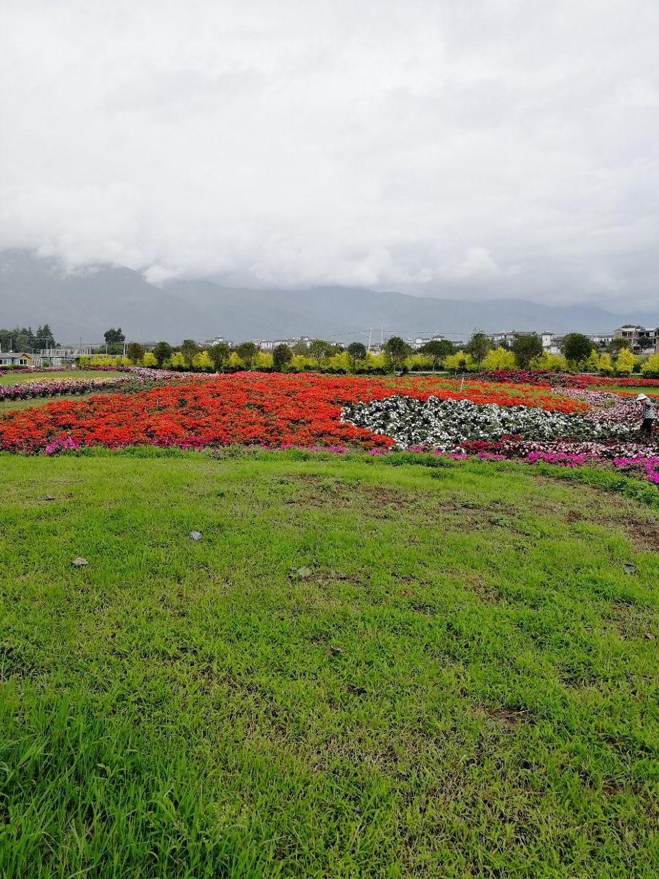 云海芳草千亩花卉博览园