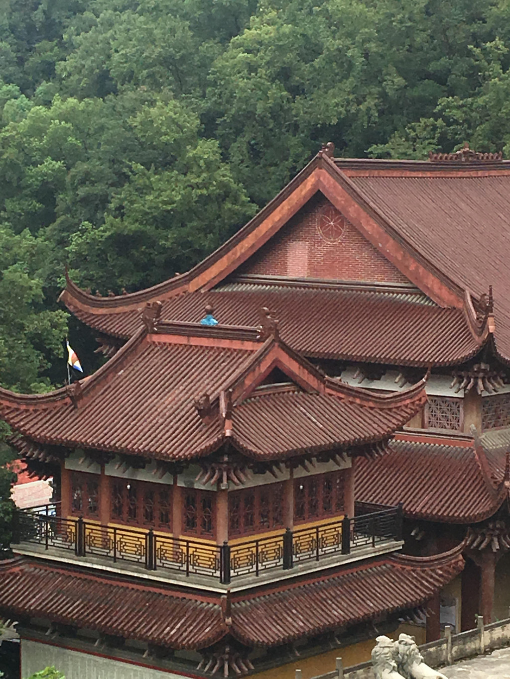 上饶一日游,东岳庙,紫竹林花海,鹅湖书院