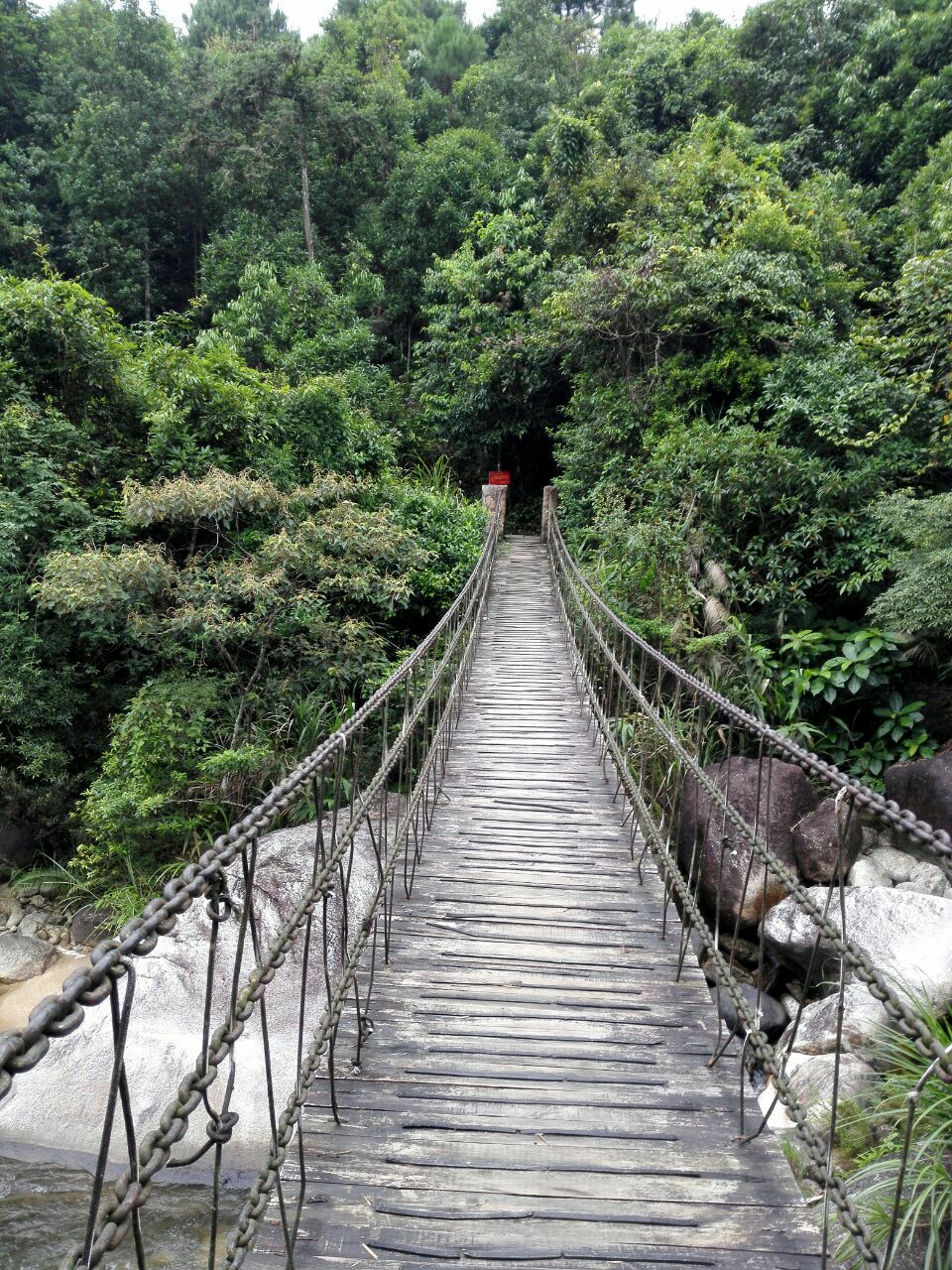 东兴东兴屏峰雨林公园好玩吗,东兴东兴屏峰雨林公园样