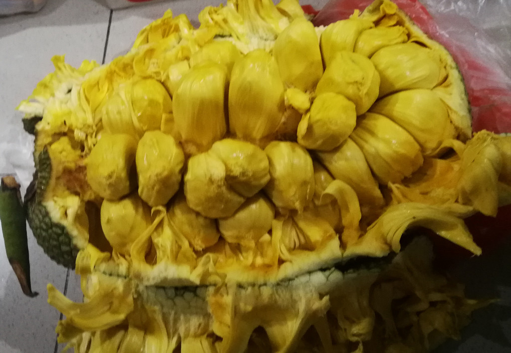 打开以后是这样的,吃到嘴里是介于榴莲和菠萝蜜之间的,果肉里面还有较