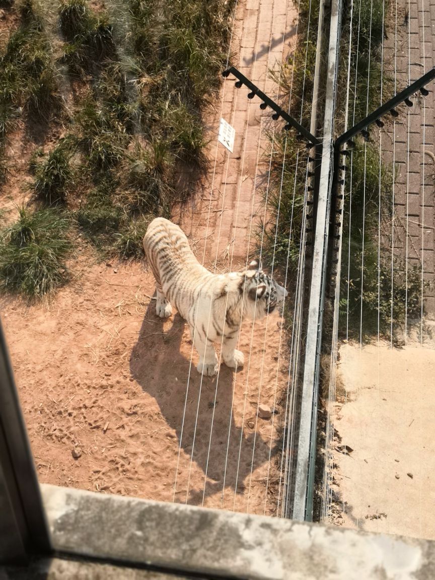 长沙生态动物园旅游景点攻略图