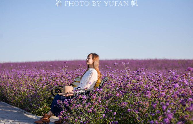 大西北茫茫戈壁之中,竟然私藏着一个浪漫而美丽的普罗旺斯