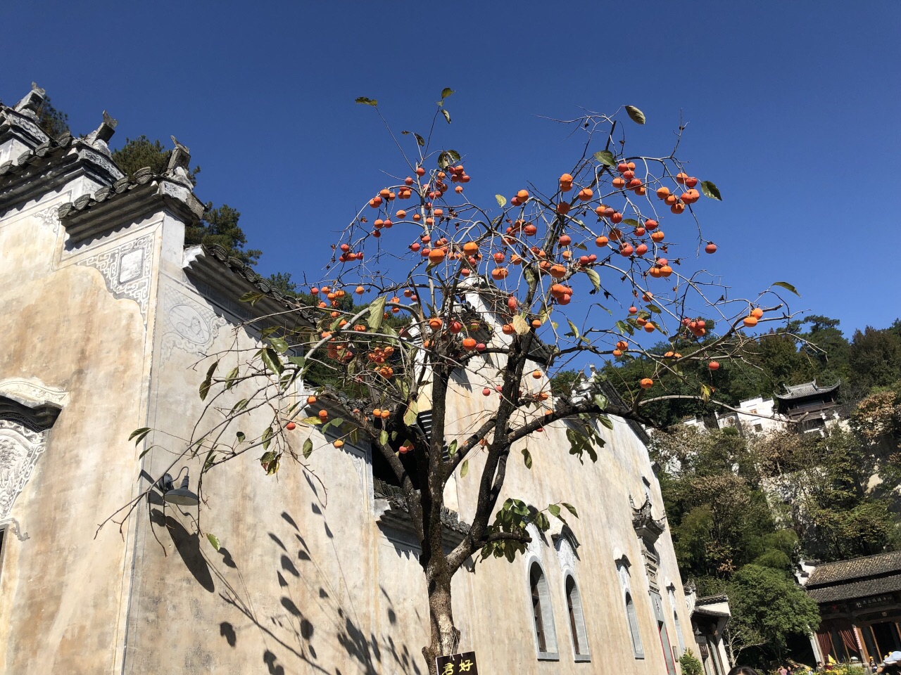 婺源风景区