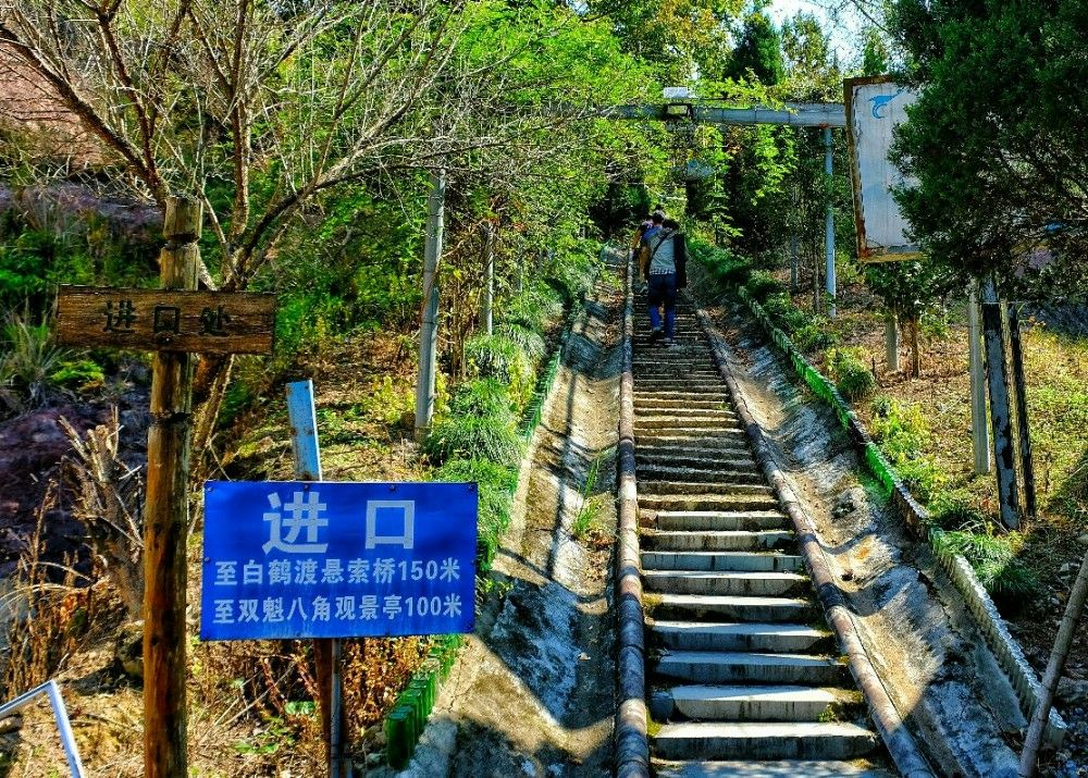 泰顺白鹤山庄好玩吗,泰顺白鹤山庄景点怎么样_点评