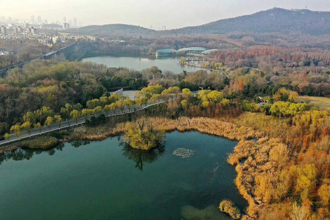 南京前湖公园好玩吗,南京前湖公园景点怎么样_点评