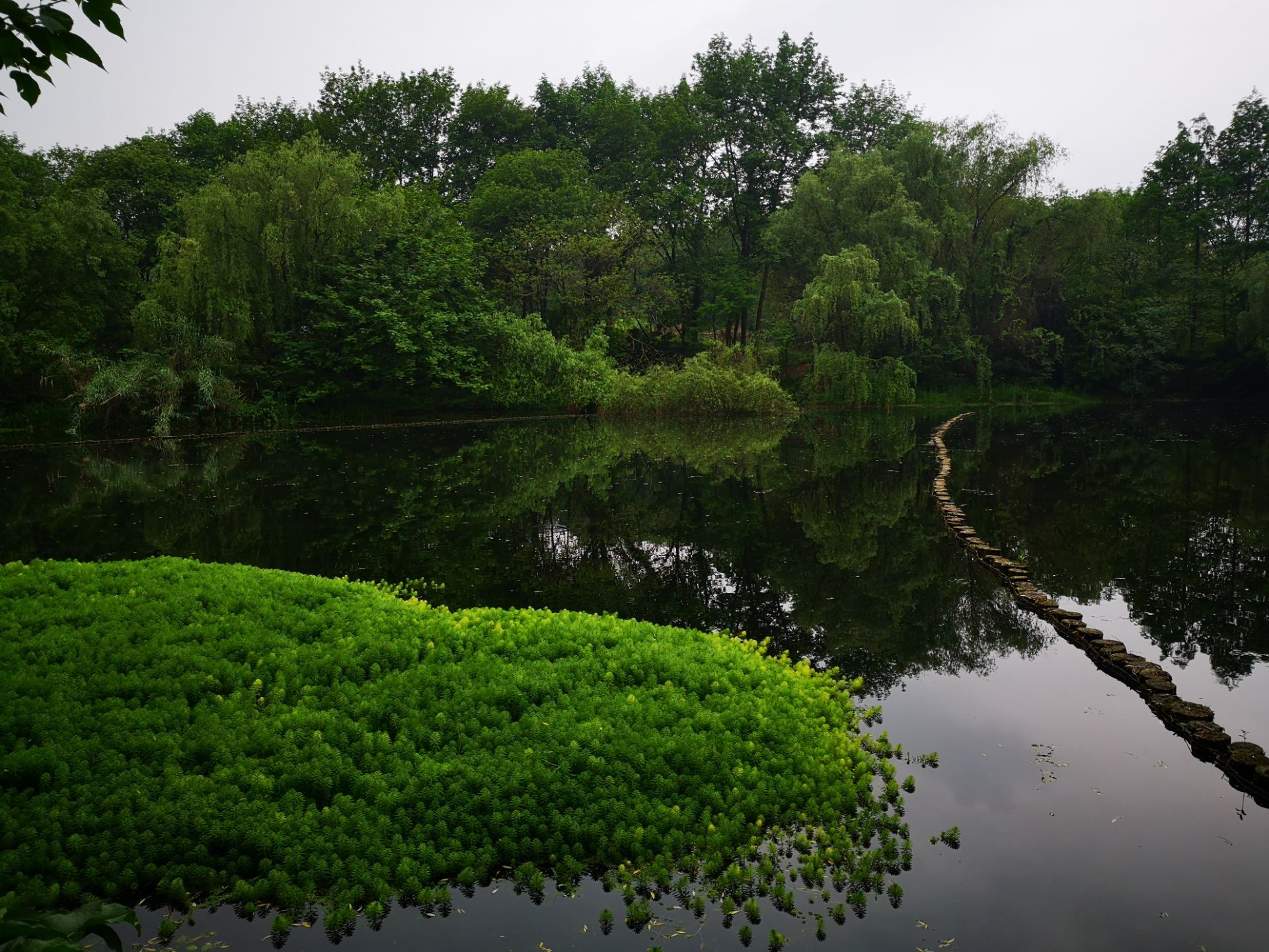 龙泓涧景区