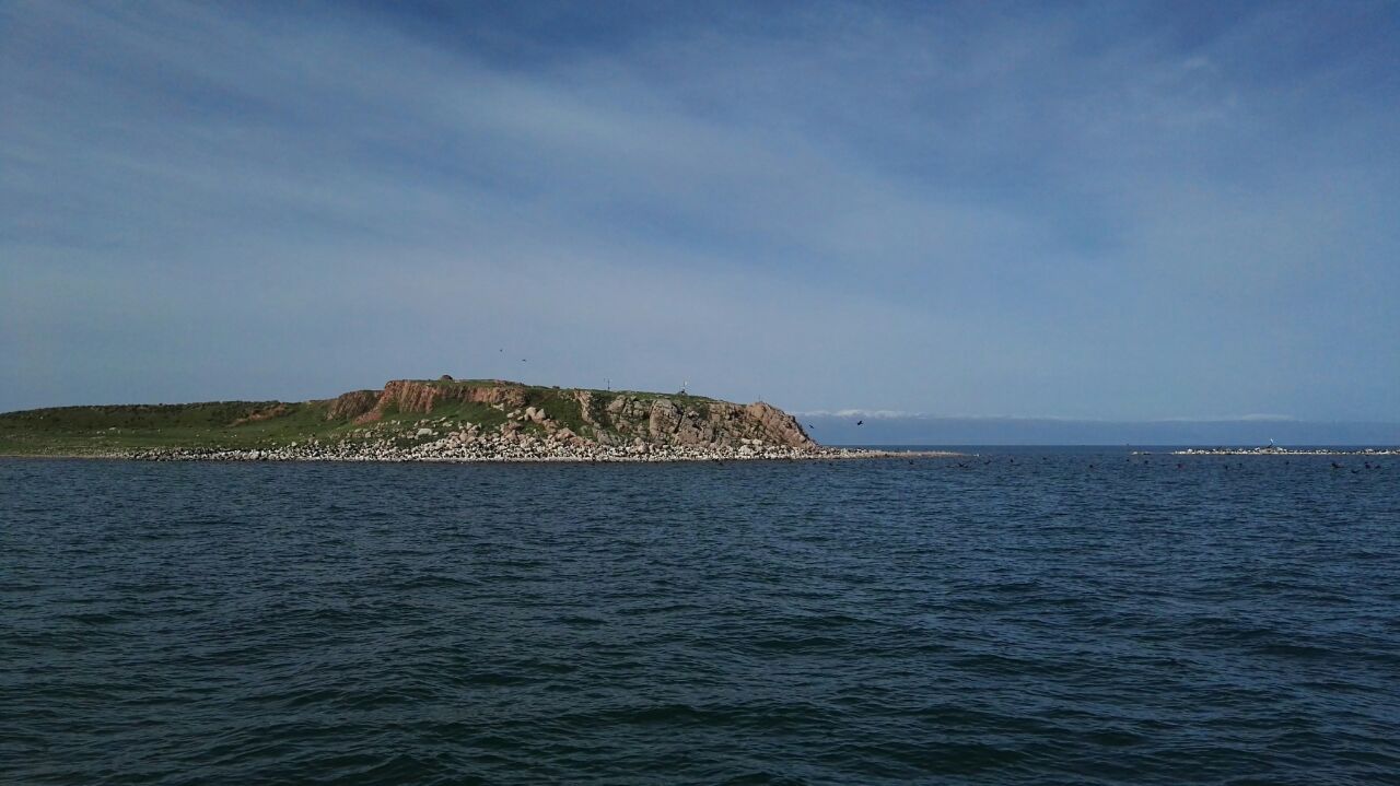 海心山俗称湖心岛,古时称仙山或龙驹岛,蒙名为"奎逊托罗亥",位于青海