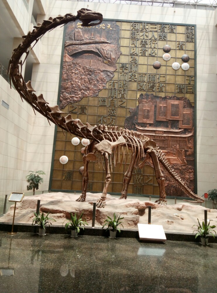 衢州博物馆quzhou museum