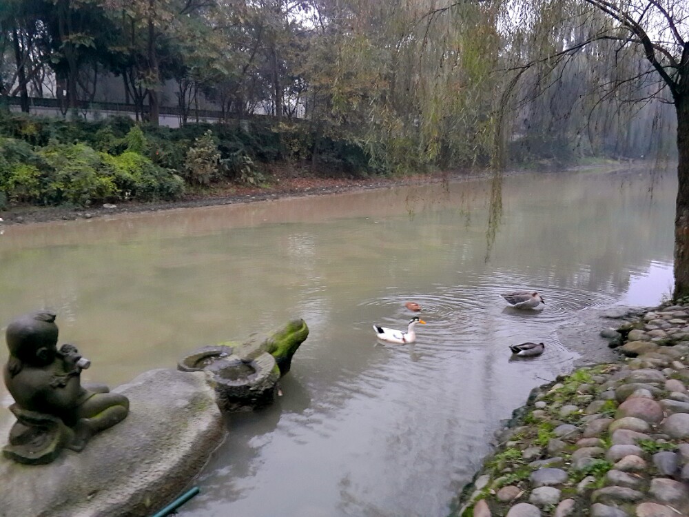 浣花溪公园旅游景点攻略图