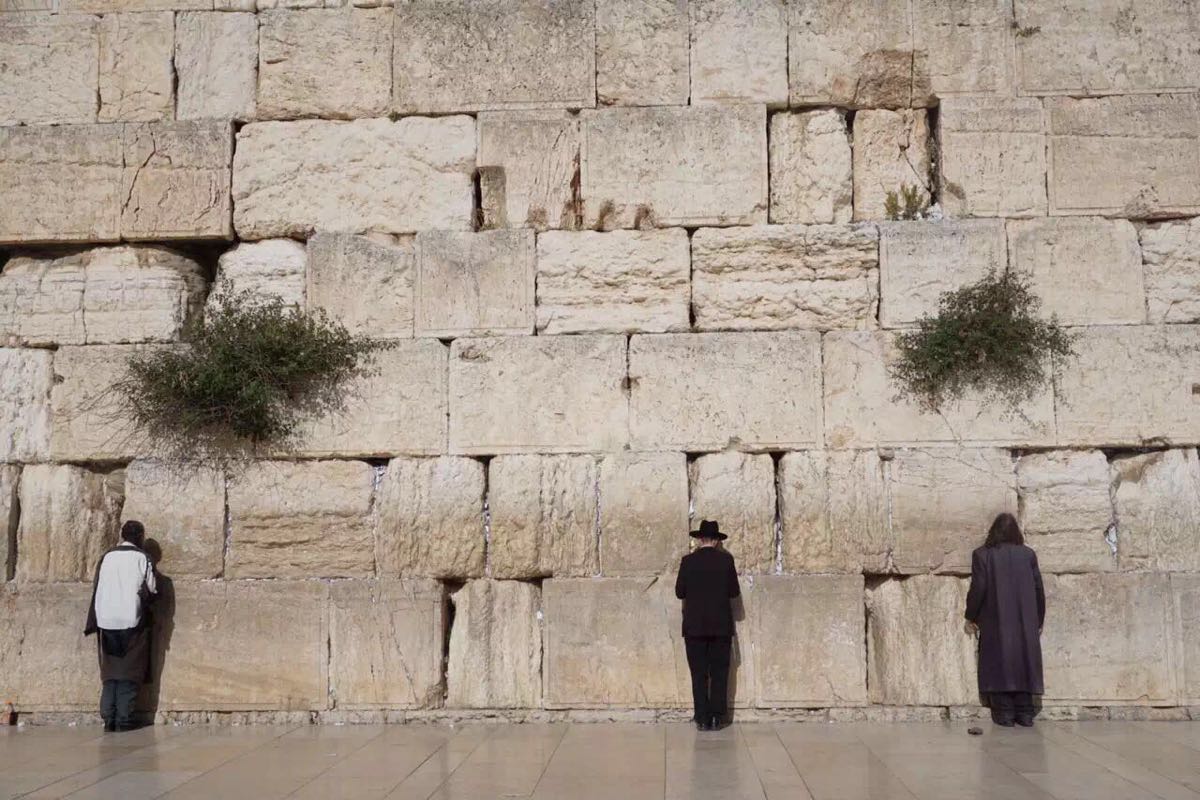 耶路撒冷，藏在美丽与哀愁的背后是生动生活|耶路撒冷|犹太人|哭墙_新浪新闻