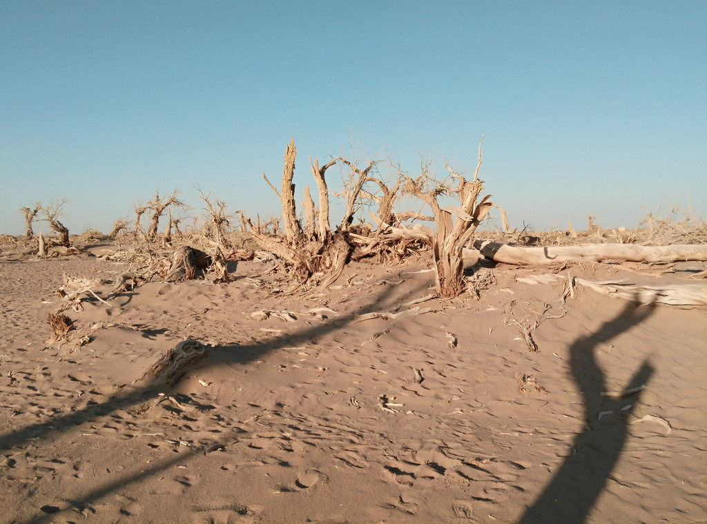 戈壁沙漠图片_纵览新闻