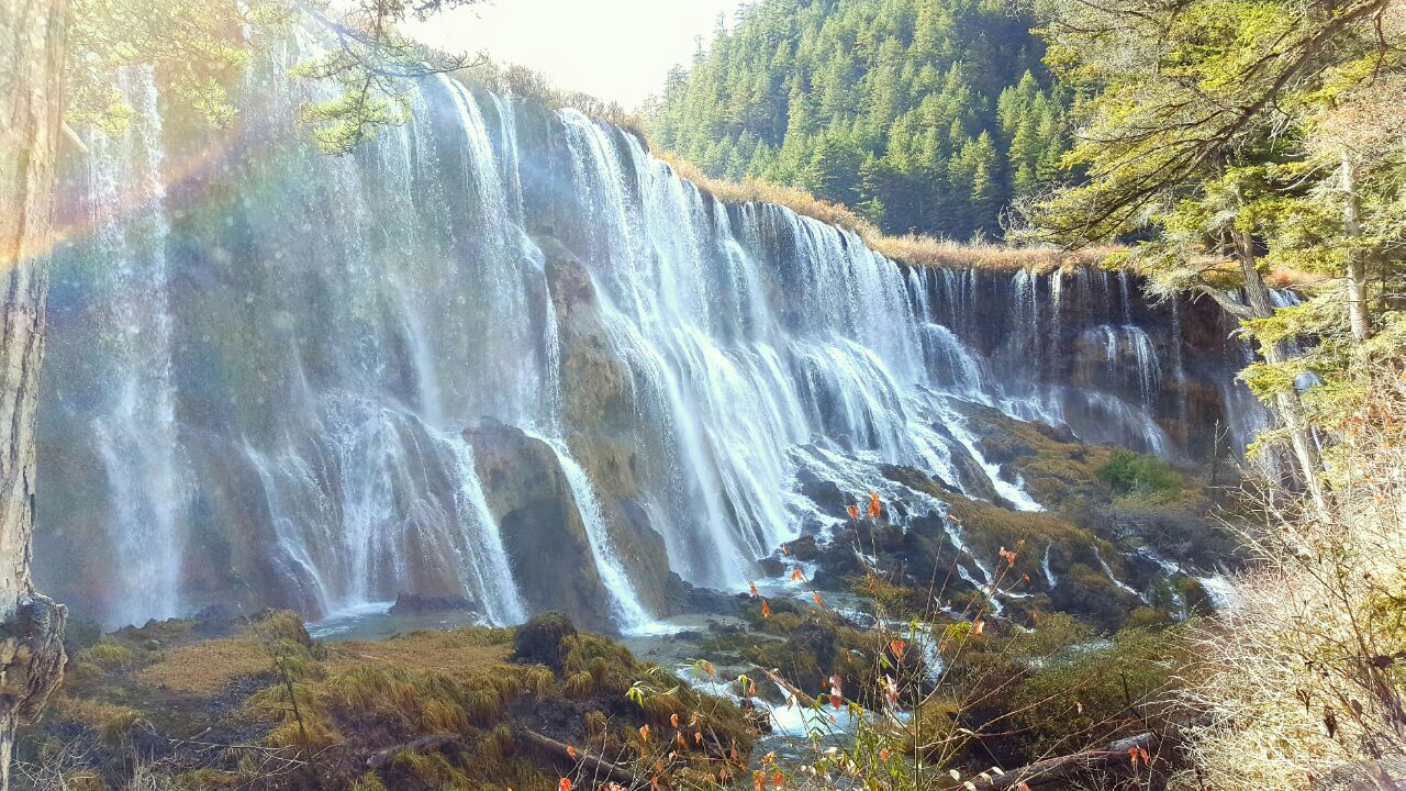 2019诺日朗瀑布_旅游攻略_门票_地址_游记点评,九寨沟旅游景点推荐