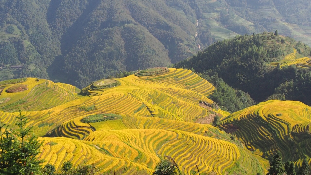 2018七星伴月_旅游攻略_门票_地址_游记点评,龙脊梯田旅游景点推荐