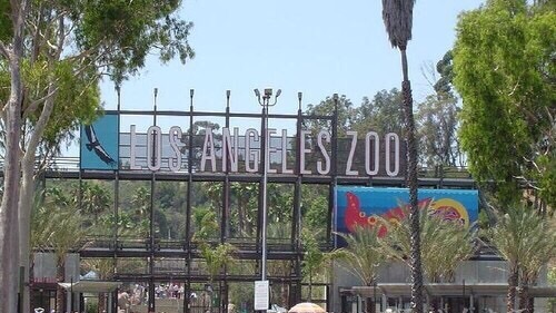 洛杉矶动物园